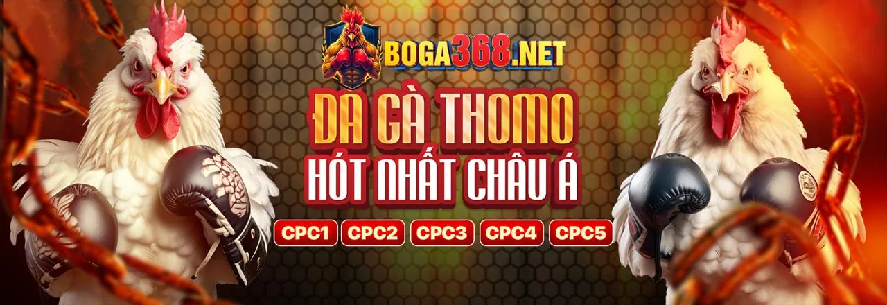 Đá Gà Trực Tuyến zx88v
